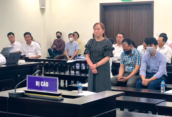 Diễn biến mới vụ &aacute;n nữ cựu chủ tịch Tập đo&agrave;n dược phẩm Vimedimex- Ảnh 1.