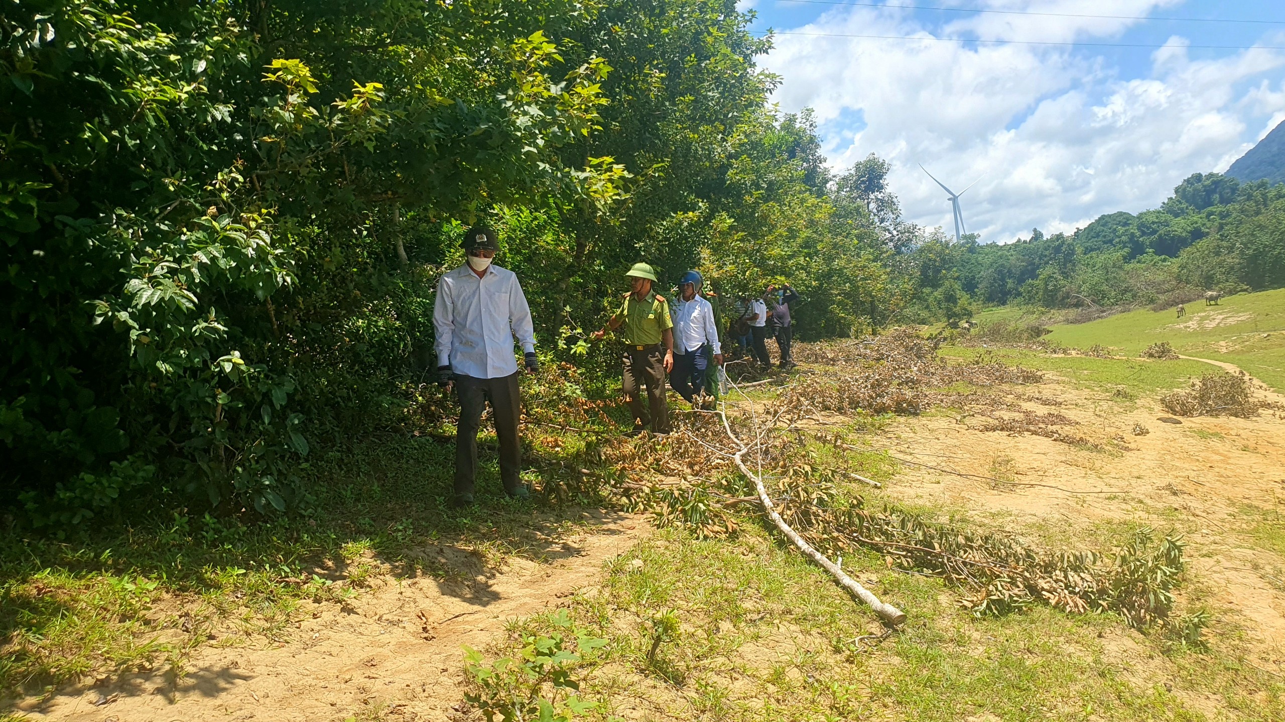 B&iacute; mật sau những chuyến xe chở c&acirc;y rừng ở Quảng Trị (*): V&eacute;n m&agrave;n sự thật- Ảnh 1.