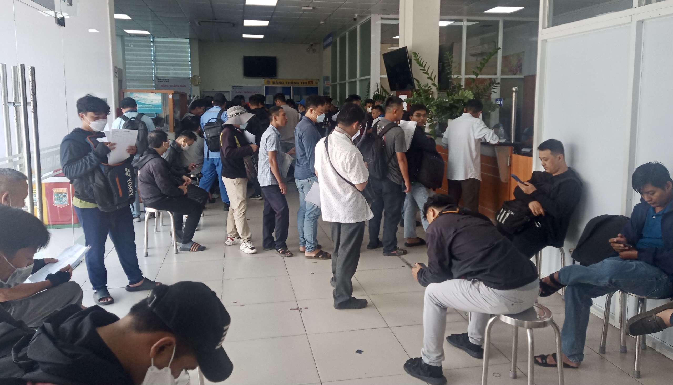  Hệ thống hải quan điện tử Cảng C&aacute;t L&aacute;i kh&ocirc;i phục sau sự cố kỹ thuật- Ảnh 1.