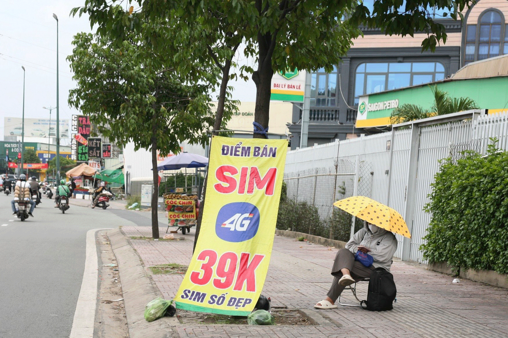 Tìm lời giải cho cây xanh đô thị: Sự tàn tạ không đáng có- Ảnh 5.