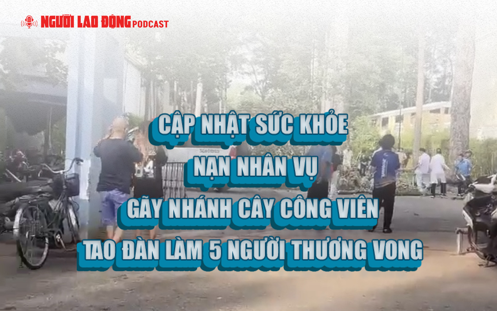 Diễn biến sức khỏe nạn nhân vụ gãy nhánh cây trong Công viên Tao Đàn làm 5 người thương vong