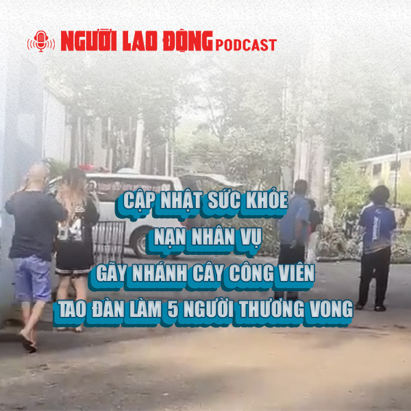 Diễn biến sức khỏe nạn nhân vụ gãy nhánh cây trong Công viên Tao Đàn làm 5 người thương vong