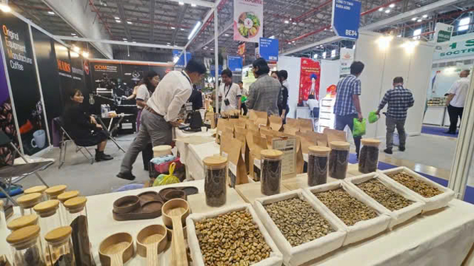 C&agrave; ph&ecirc; xuất khẩu sang EU c&oacute; thể chịu t&aacute;c động bởi dự thảo mới