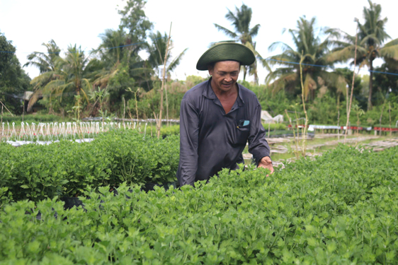 N&ocirc;ng d&acirc;n L&agrave;ng hoa Sa Đ&eacute;c tất bật chuẩn bị vụ hoa Tết. Ảnh: T&Acirc;M MINH