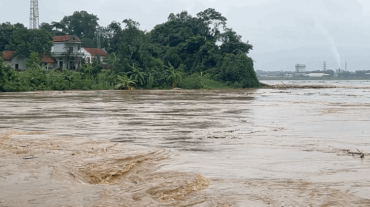 Vụ sập cầu Phong Ch&acirc;u: Cận cảnh h&agrave;ng trăm qu&acirc;n nh&acirc;n, phương tiện chuẩn bị bắc cầu phao qua s&ocirc;ng Hồng- Ảnh 8.