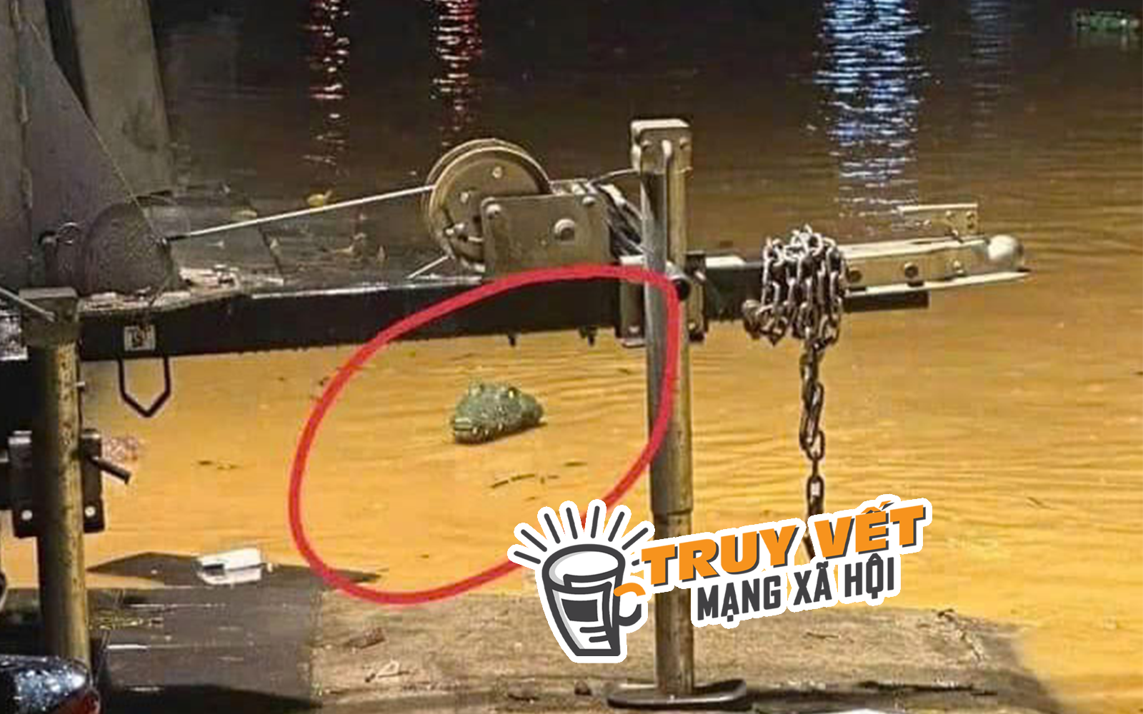 Xôn xao thông tin 2 con cá sấu sổng chuồng bơi giữa nước lũ