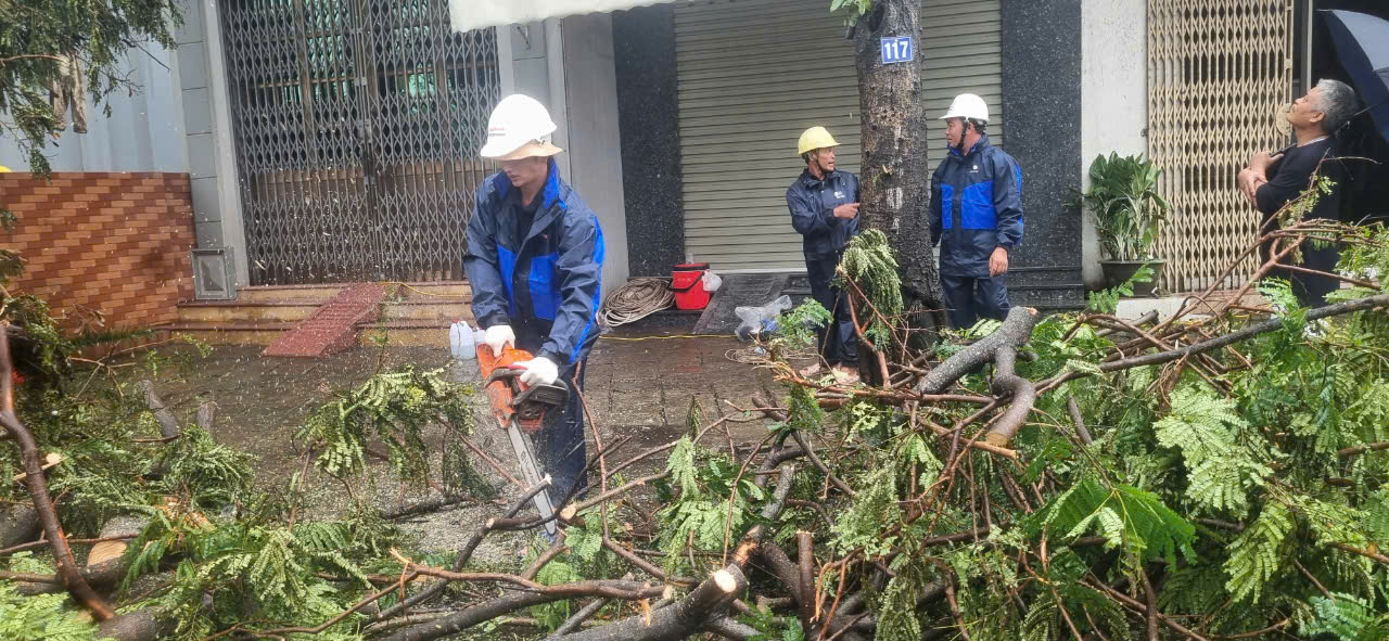Dầm mình trong mưa hỗ trợ Hải Phòng dọn dẹp cây xanh gãy đổ la liệt sau bão số 3- Ảnh 5.