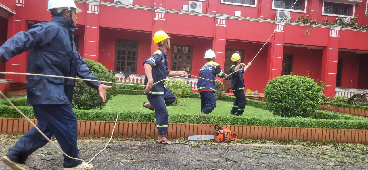 Dầm mình trong mưa hỗ trợ Hải Phòng dọn dẹp cây xanh gãy đổ la liệt sau bão số 3- Ảnh 10.