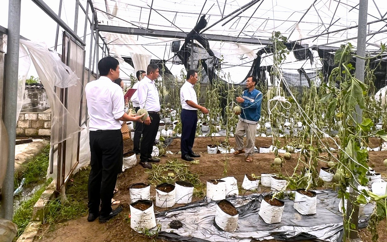 Agribank tổ chức c&aacute;c đo&agrave;n c&ocirc;ng t&aacute;c nắm bắt t&igrave;nh h&igrave;nh, khắc phục thiệt hại cơn b&atilde;o số 3