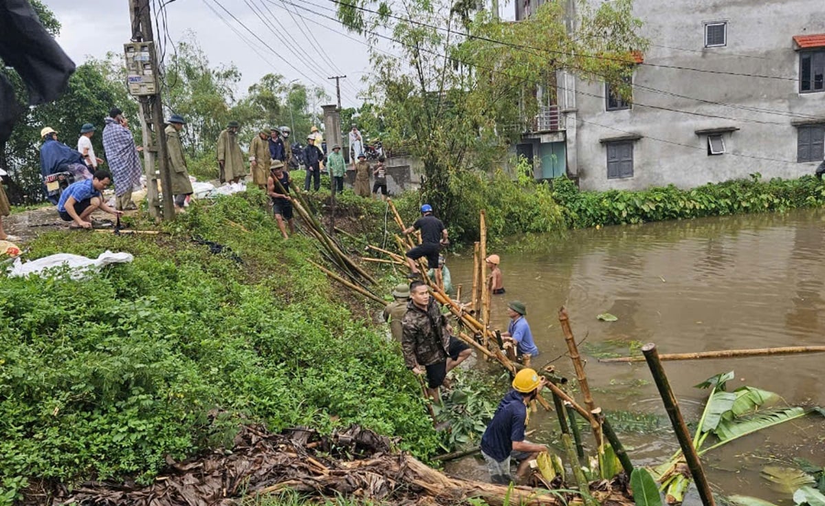 Nước lũ tràn đê bối, Nam Định di dời gần 500 hộ dân- Ảnh 4.
