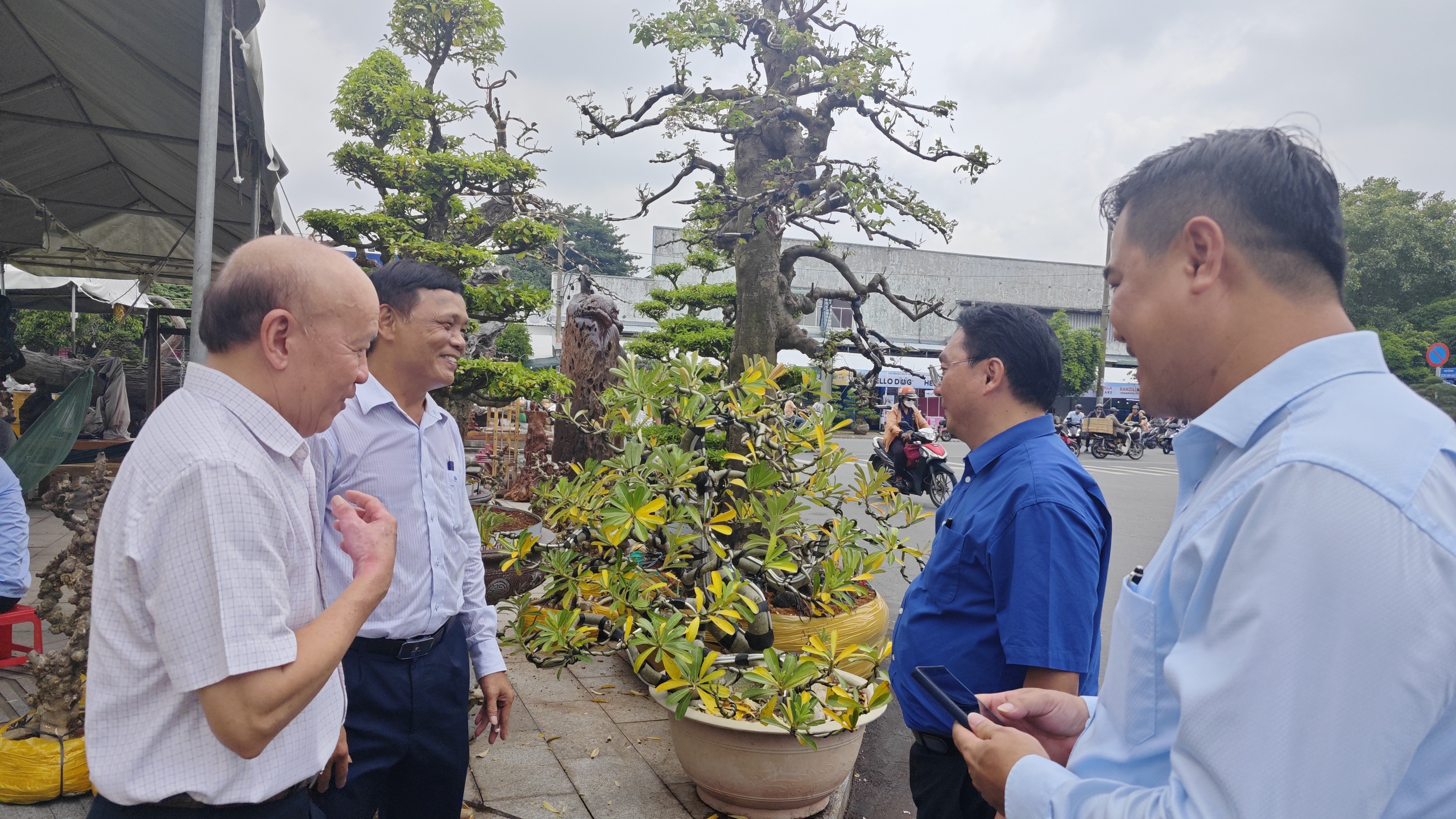 Ngắm d&agrave;n bonsai tiền tỉ v&agrave; đ&agrave;n c&aacute; cảnh &ldquo;hot trend&rdquo;- Ảnh 5.