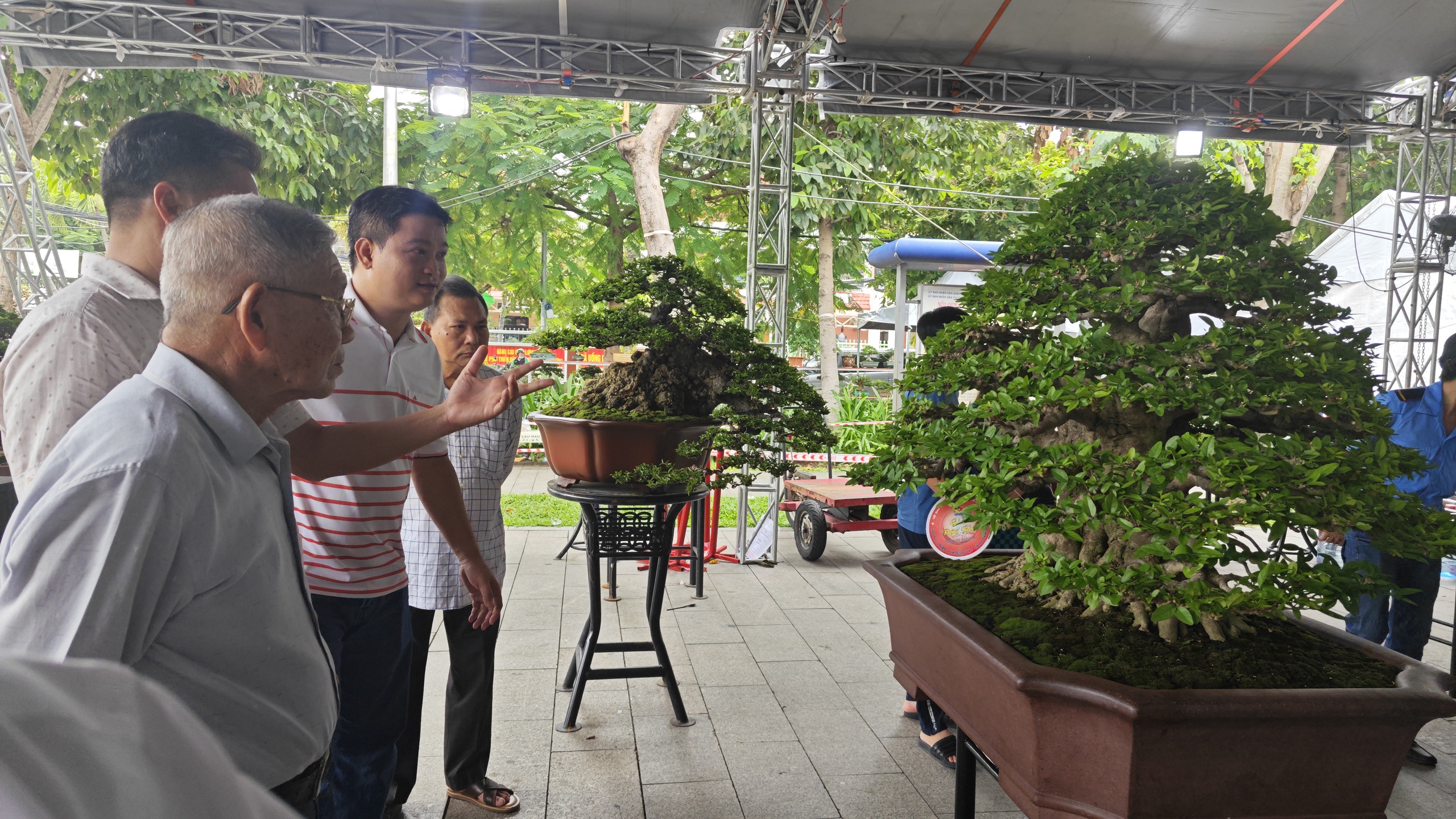Ngắm d&agrave;n bonsai tiền tỉ v&agrave; đ&agrave;n c&aacute; cảnh &ldquo;hot trend&rdquo;- Ảnh 3.
