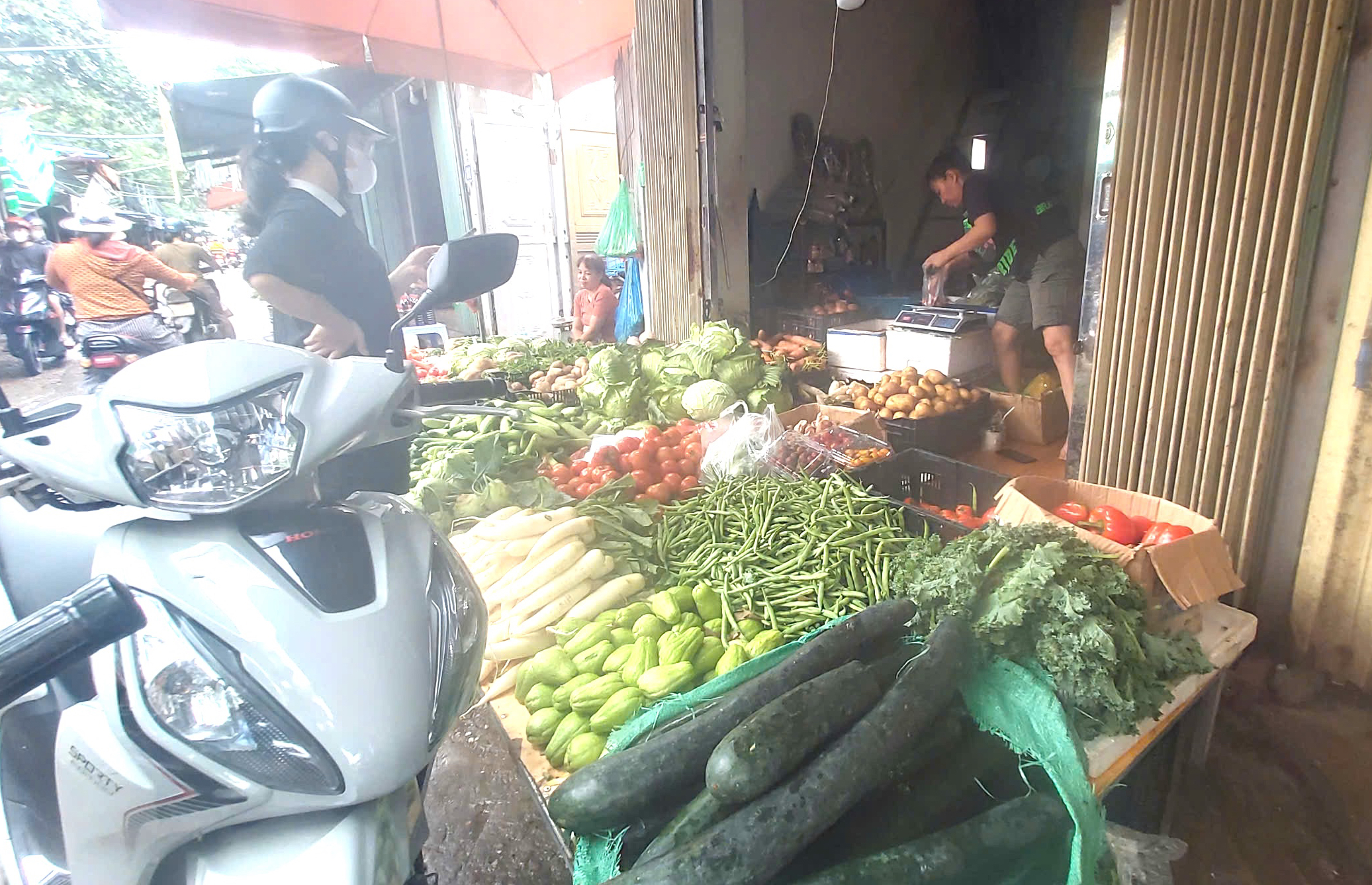 Giật mình giá rau, bí xanh đắt gấp đôi, thì là 250 ngàn đồng/kg dù nguồn cung bảo đảm- Ảnh 1.
