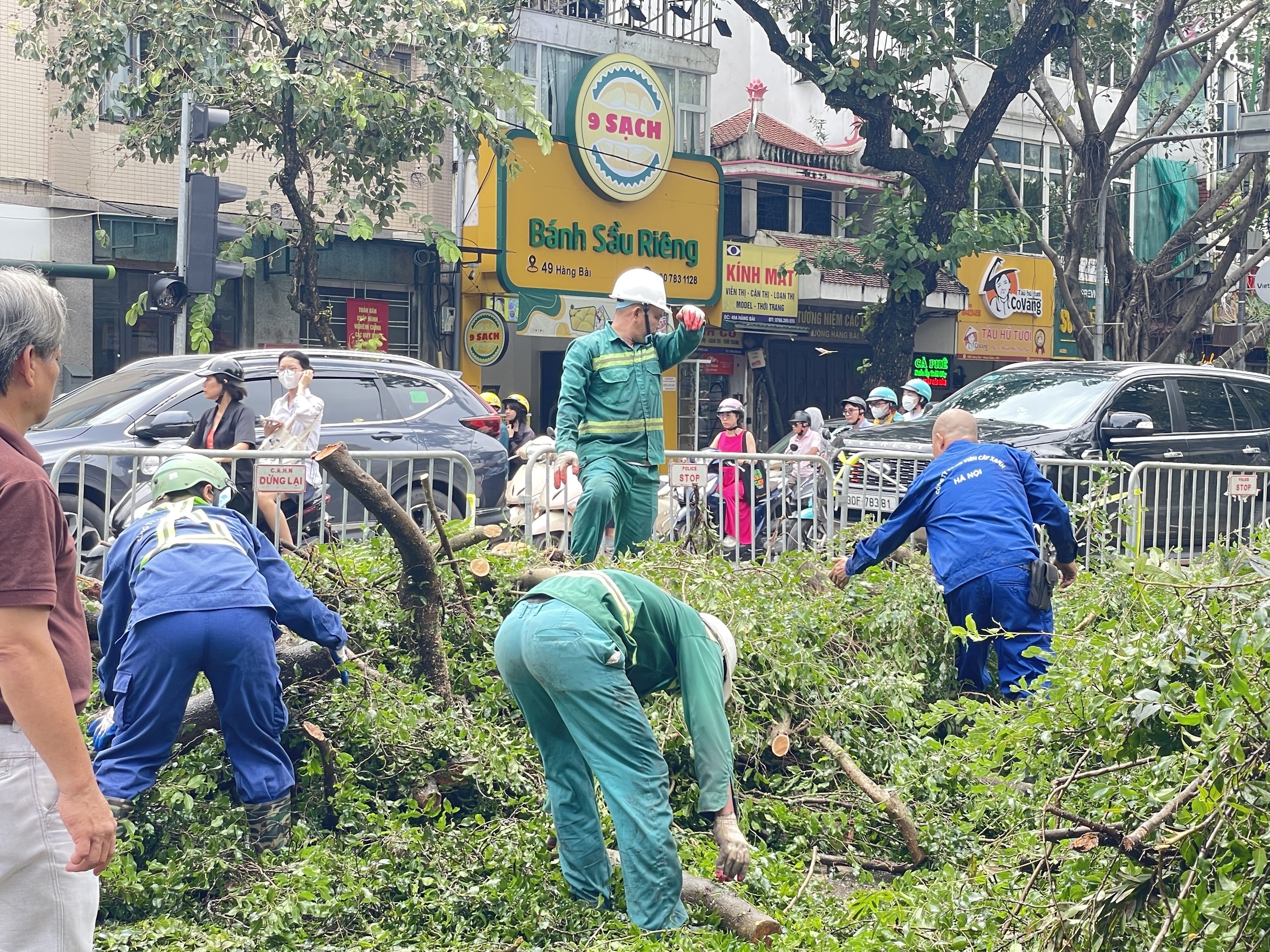 VIDEO: Đ&agrave; Nẵng hỗ trợ H&agrave; Nội xử l&yacute; c&acirc;y xanh g&atilde;y đổ sau b&atilde;o số 3- Ảnh 5.