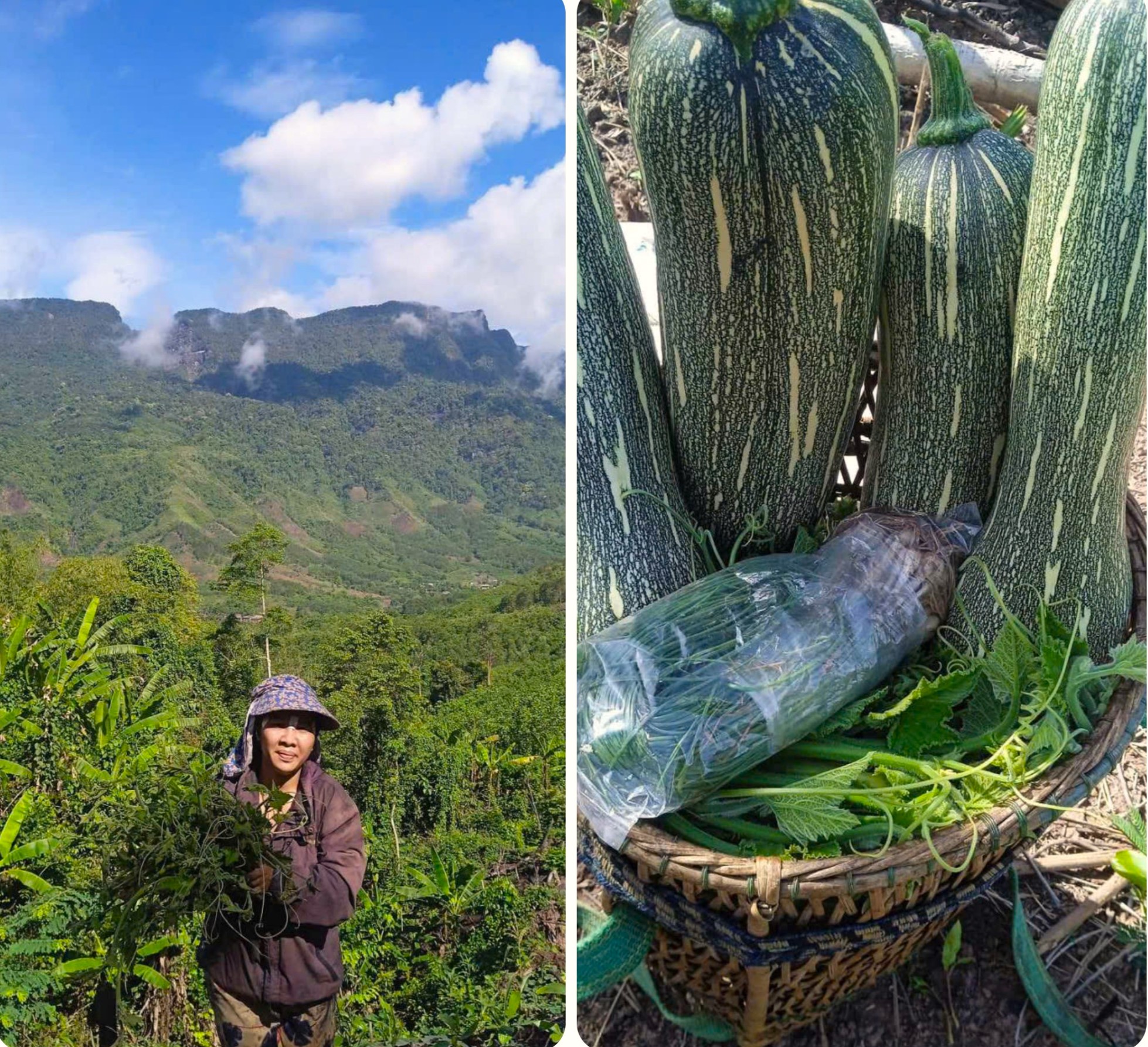 X&uacute;c động h&agrave;nh động của người ngh&egrave;o, người t&agrave;n tật ở Quảng Trị hướng về đồng b&agrave;o miền Bắc- Ảnh 1.