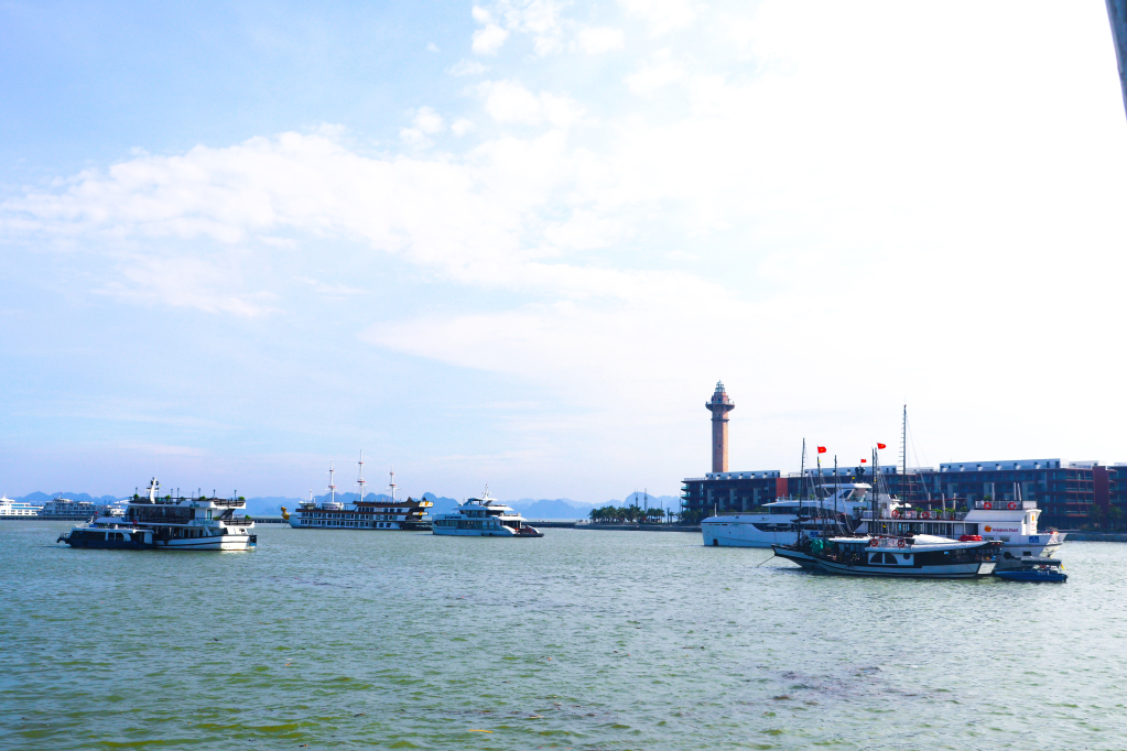 Quảng Ninh mở chiến dịch l&agrave;m sạch vịnh Hạ Long trong 3 ng&agrave;y- Ảnh 2.