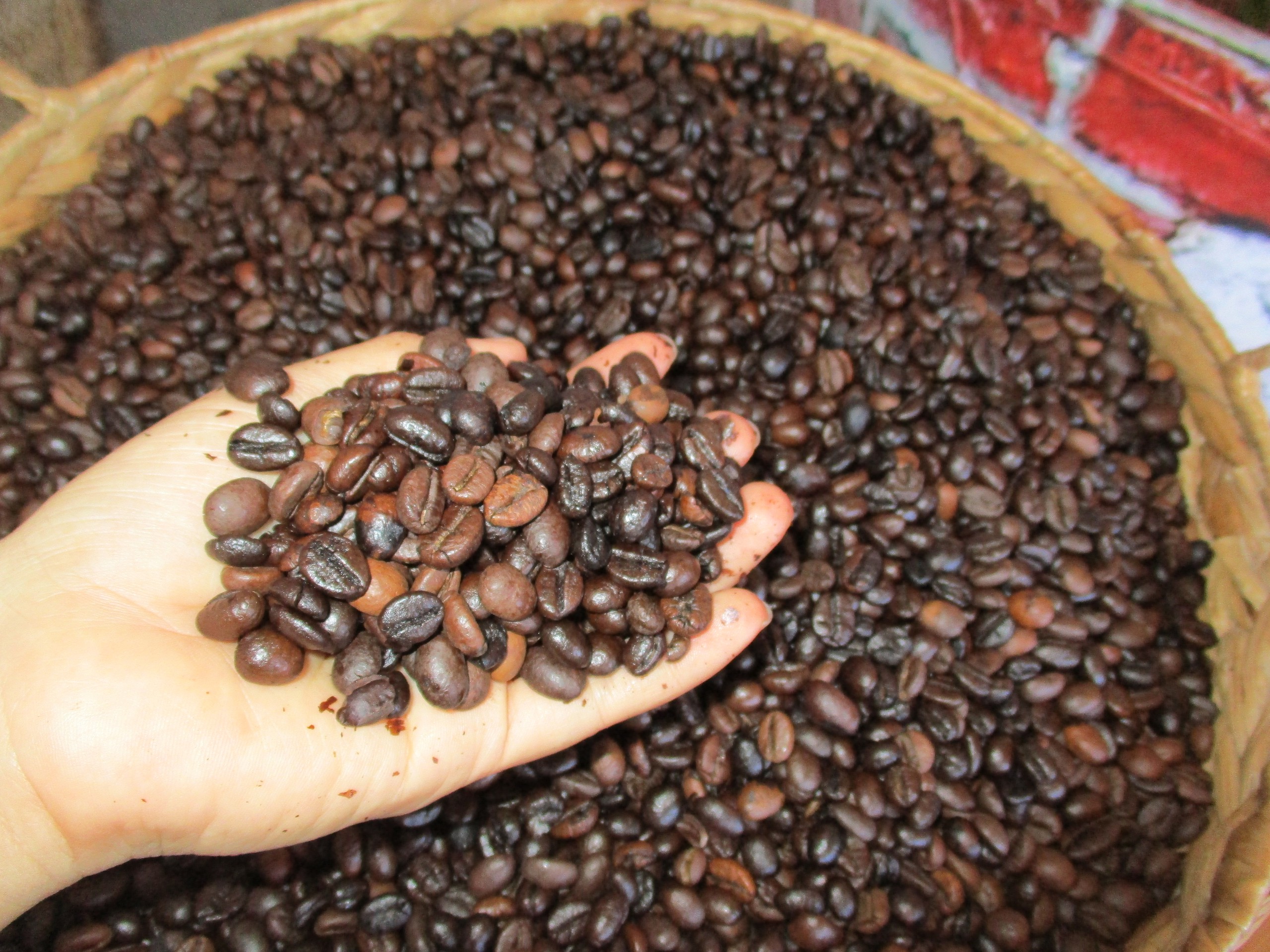 Gi&aacute; c&agrave; ph&ecirc; Robusta lại lập kỷ lục- Ảnh 1.