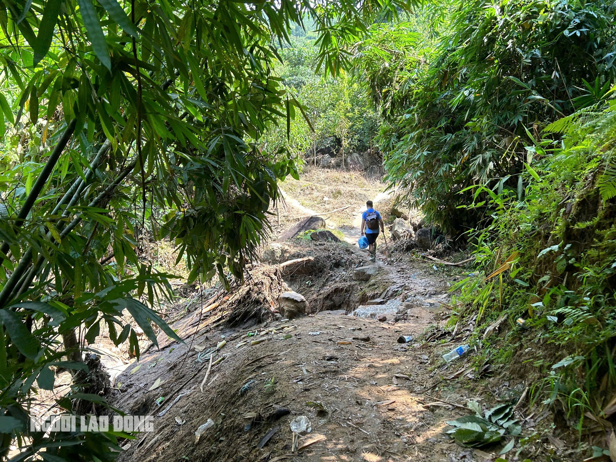 Tường tr&igrave;nh tại hiện trường vụ sạt lở "xo&aacute; sổ" 8 căn nh&agrave;, 18 người chết v&agrave; mất t&iacute;ch- Ảnh 1.