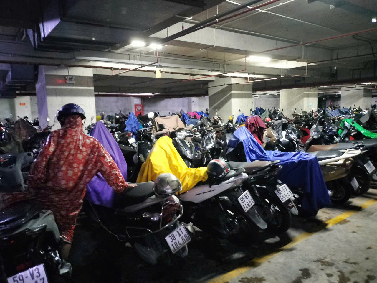T&igrave;m hướng ra cho c&ocirc;ng tr&igrave;nh c&oacute; tầng hầm- Ảnh 3.