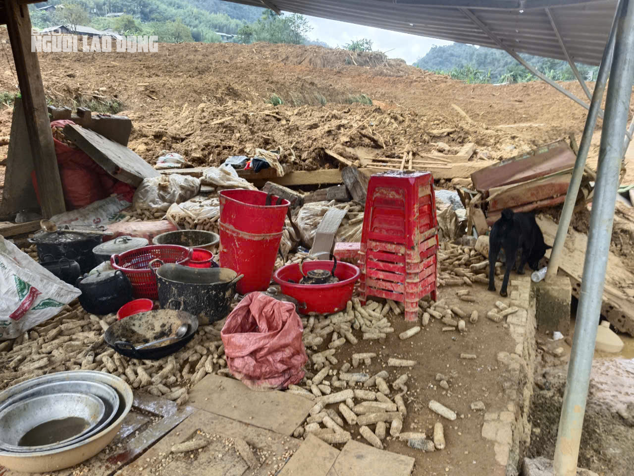 VIDEO: Tan hoang hiện trường vụ sạt lở đất l&agrave;m 9 người chết, nhiều người bị thương- Ảnh 4.