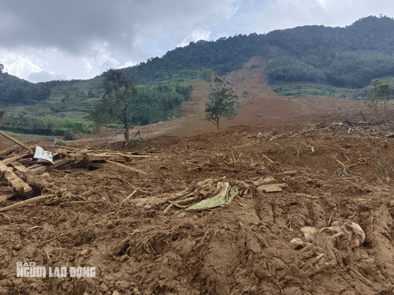 VIDEO: Tan hoang hiện trường vụ sạt lở đất l&agrave;m 9 người chết, nhiều người bị thương- Ảnh 5.
