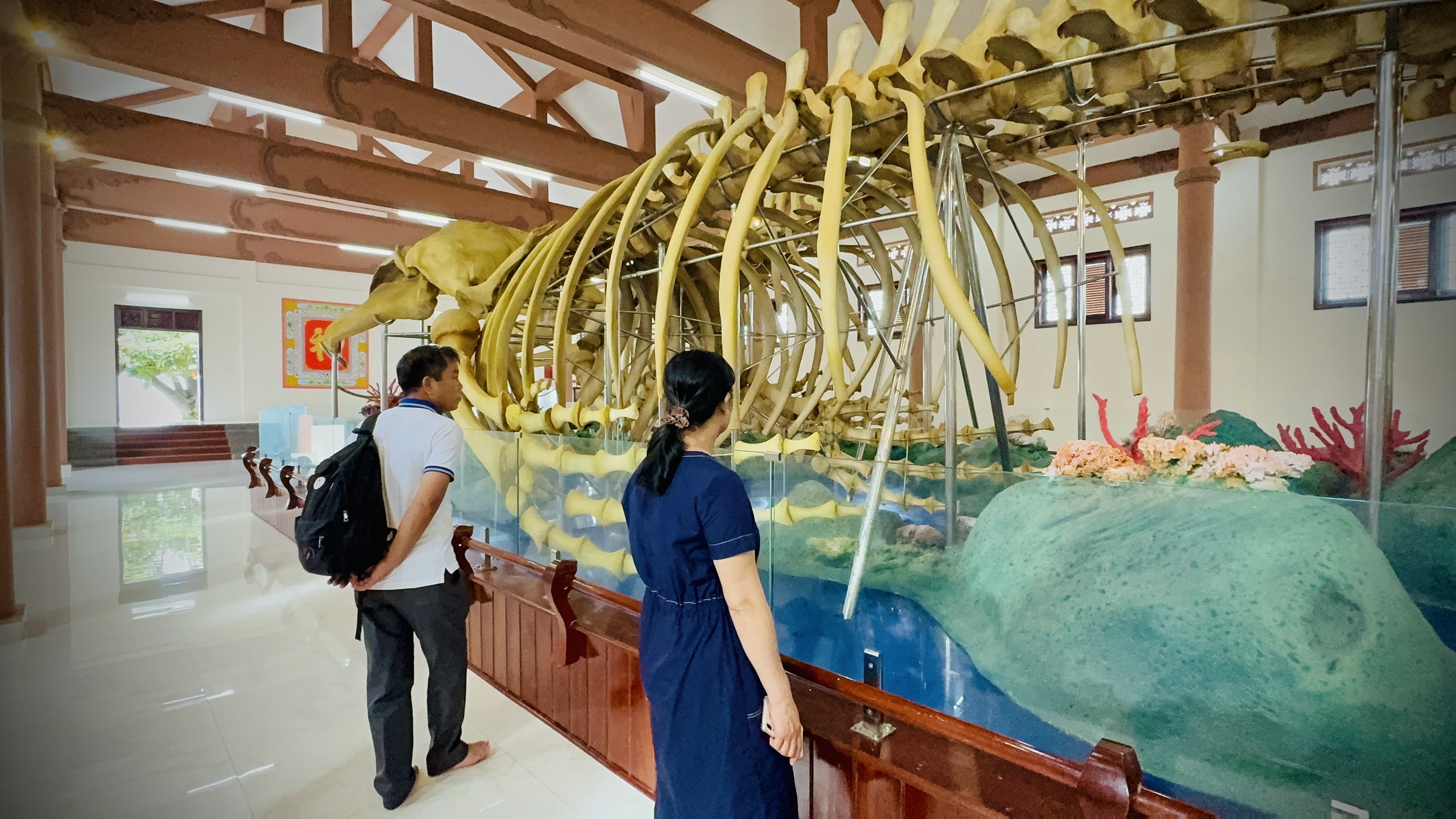 Chi&ecirc;m ngưỡng 2 bộ xương c&aacute; &Ocirc;ng được x&aacute;c lập kỷ lục Việt Nam- Ảnh 3.