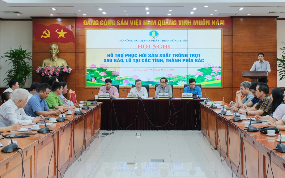 Hỗ trợ quyết liệt và kịp thời nhất