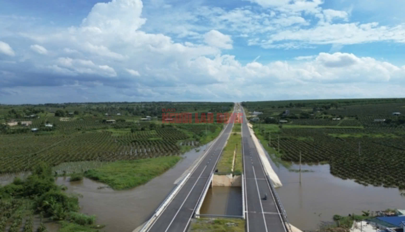 Bất ngờ nguy&ecirc;n nh&acirc;n g&acirc;y ngập h&agrave;ng trăm hecta thanh long tại B&igrave;nh Thuận- Ảnh 2.