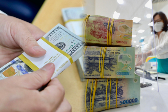 Tác động rõ nét nhất của việc FED giảm lãi suất là tỉ giá hạ nhiệt, bớt áp lực cho cơ quan quản lý lẫn doanh nghiệp Ảnh: HOÀNG TRIỀU
