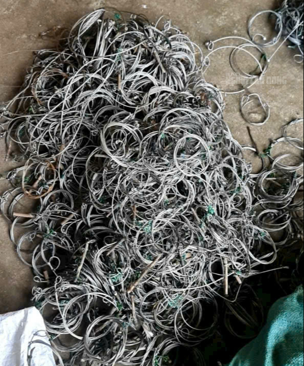 ĐỘC LẠ: Ngắm nh&igrave;n "kỳ l&acirc;n ch&acirc;u &Aacute;" được t&aacute;i hiện từ 5.000 d&acirc;y bẫy th&uacute; rừng- Ảnh 5.