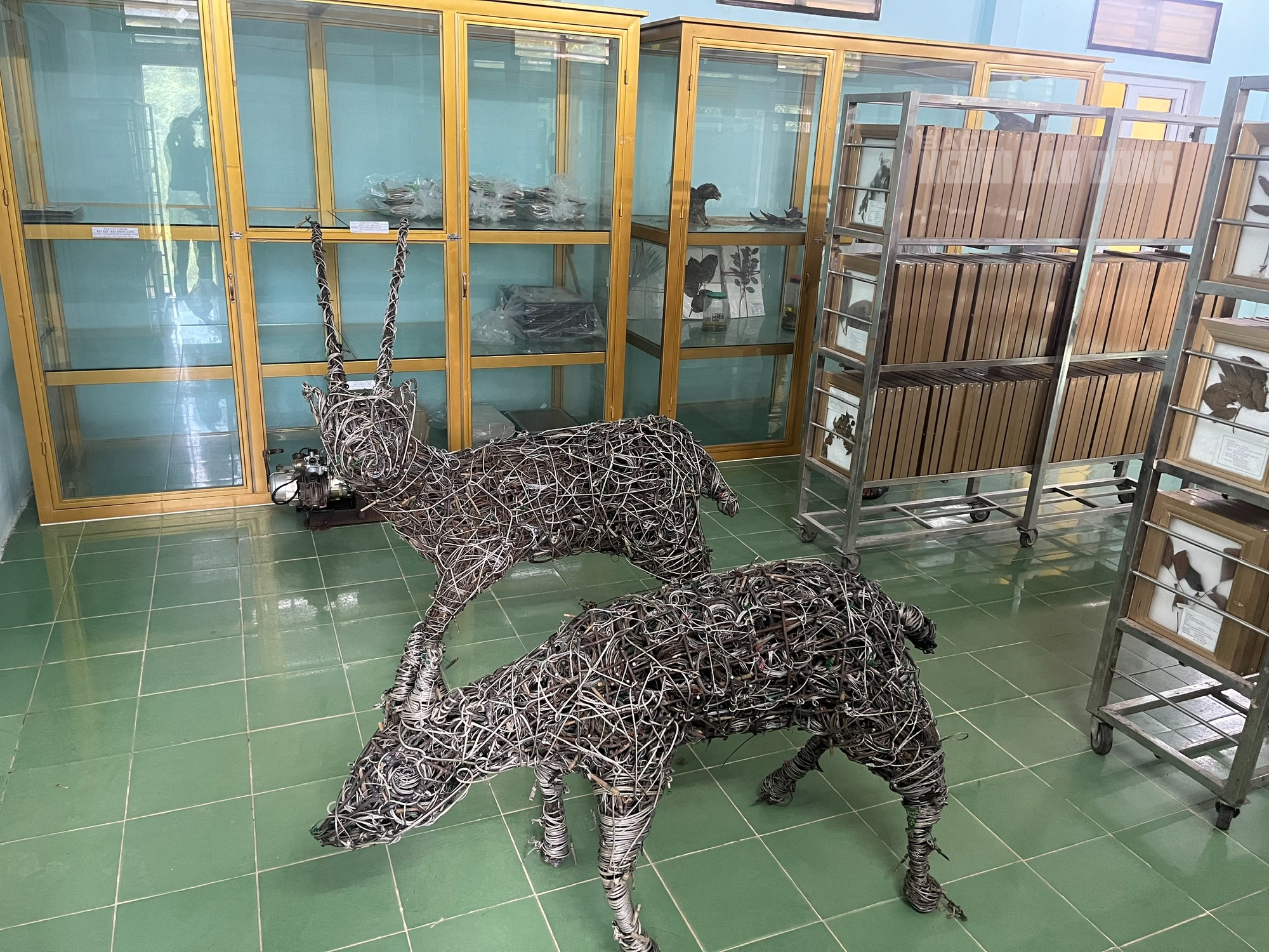 ĐỘC LẠ: Ngắm nh&igrave;n "kỳ l&acirc;n ch&acirc;u &Aacute;" được t&aacute;i hiện từ 5.000 d&acirc;y bẫy th&uacute; rừng- Ảnh 2.