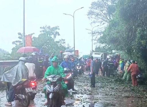 C&acirc;y g&atilde;y đổ đ&egrave; tr&uacute;ng người 2 cha con đi xe m&aacute;y- Ảnh 1.