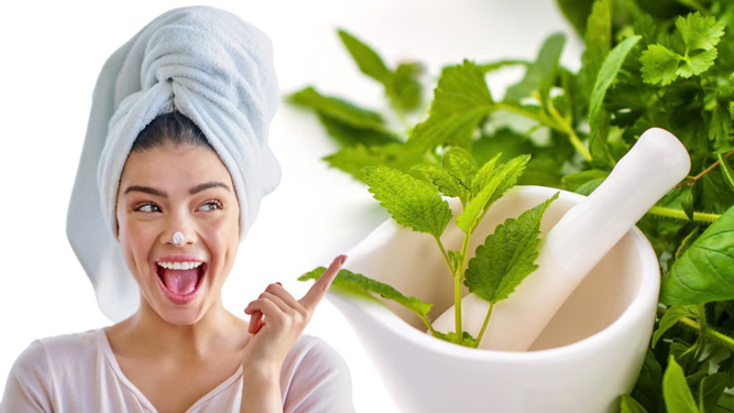 Nếu biết c&aacute;ch sử dụng, thảo dược mang lại hiệu quả cao trong chăm s&oacute;c da Minh họa: LI&Ecirc;N ANH