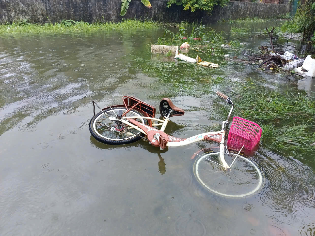 Mưa lớn khiến 3 người tử vong, h&agrave;ng trăm nh&agrave; d&acirc;n bị hư hỏng- Ảnh 4.