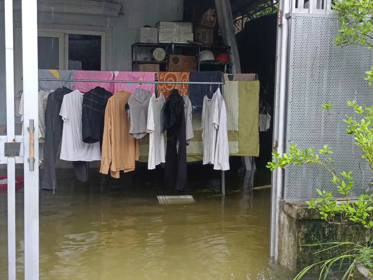 VIDEO: Mưa lớn, hơn 9.000 con gà của một hộ dân chết ngạt- Ảnh 5.
