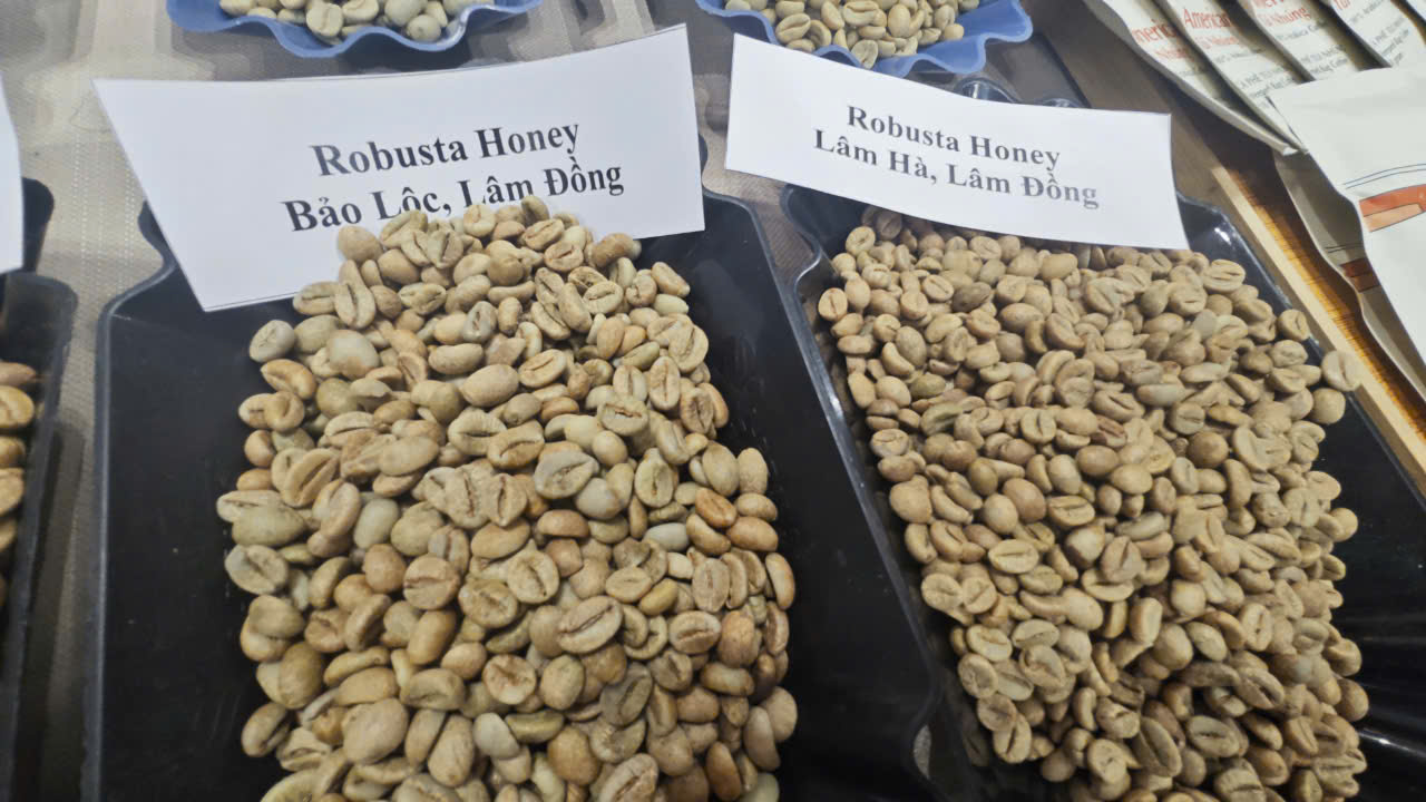 Gi&aacute; c&agrave; ph&ecirc; Robusta tăng dữ dội chỉ sau một đ&ecirc;m- Ảnh 1.