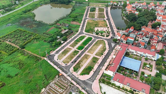 Giao c&ocirc;ng an xử l&yacute;, c&ocirc;ng khai người "bỏ cọc" đấu gi&aacute; đất- Ảnh 1.