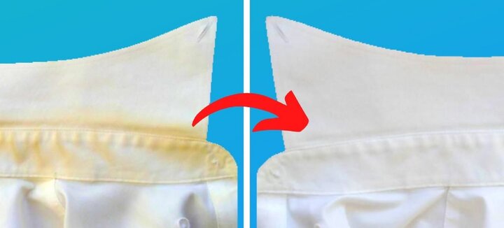 Cổ &aacute;o ố v&agrave;ng, kiến bu lọ đường, d&iacute;nh keo 502... xử l&yacute; đơn giản bất ngờ- Ảnh 2.