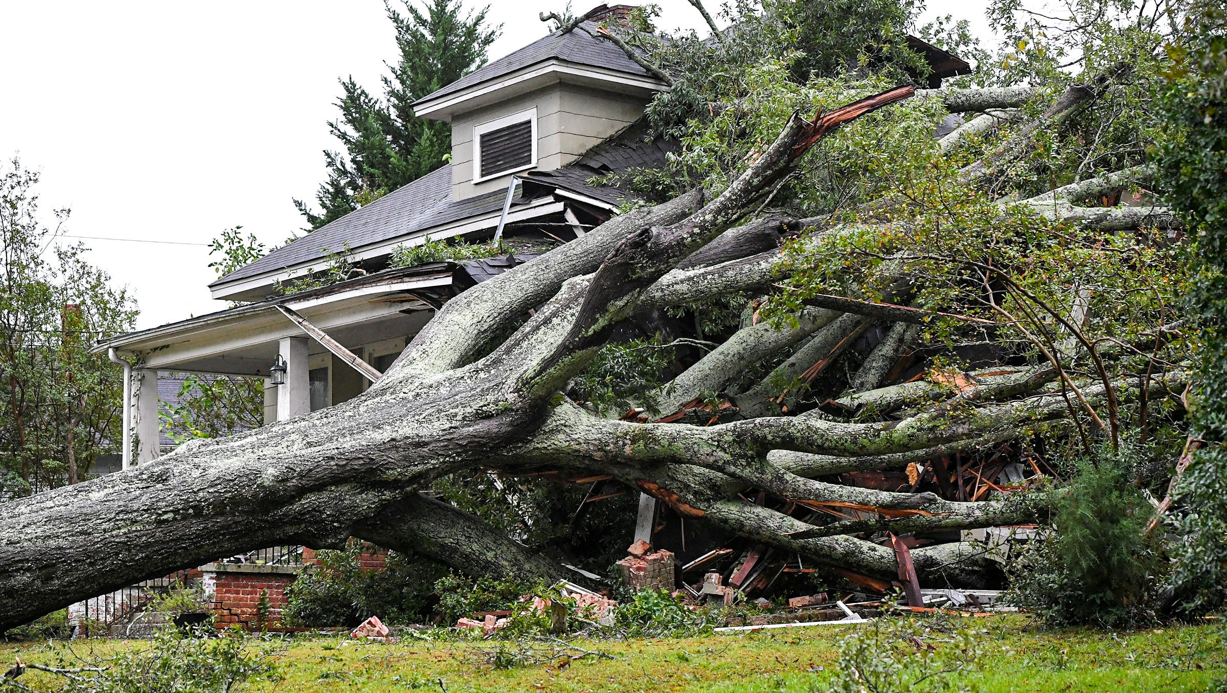 C&acirc;y sồi lớn đổ rạp ở Anderson, South Carolina