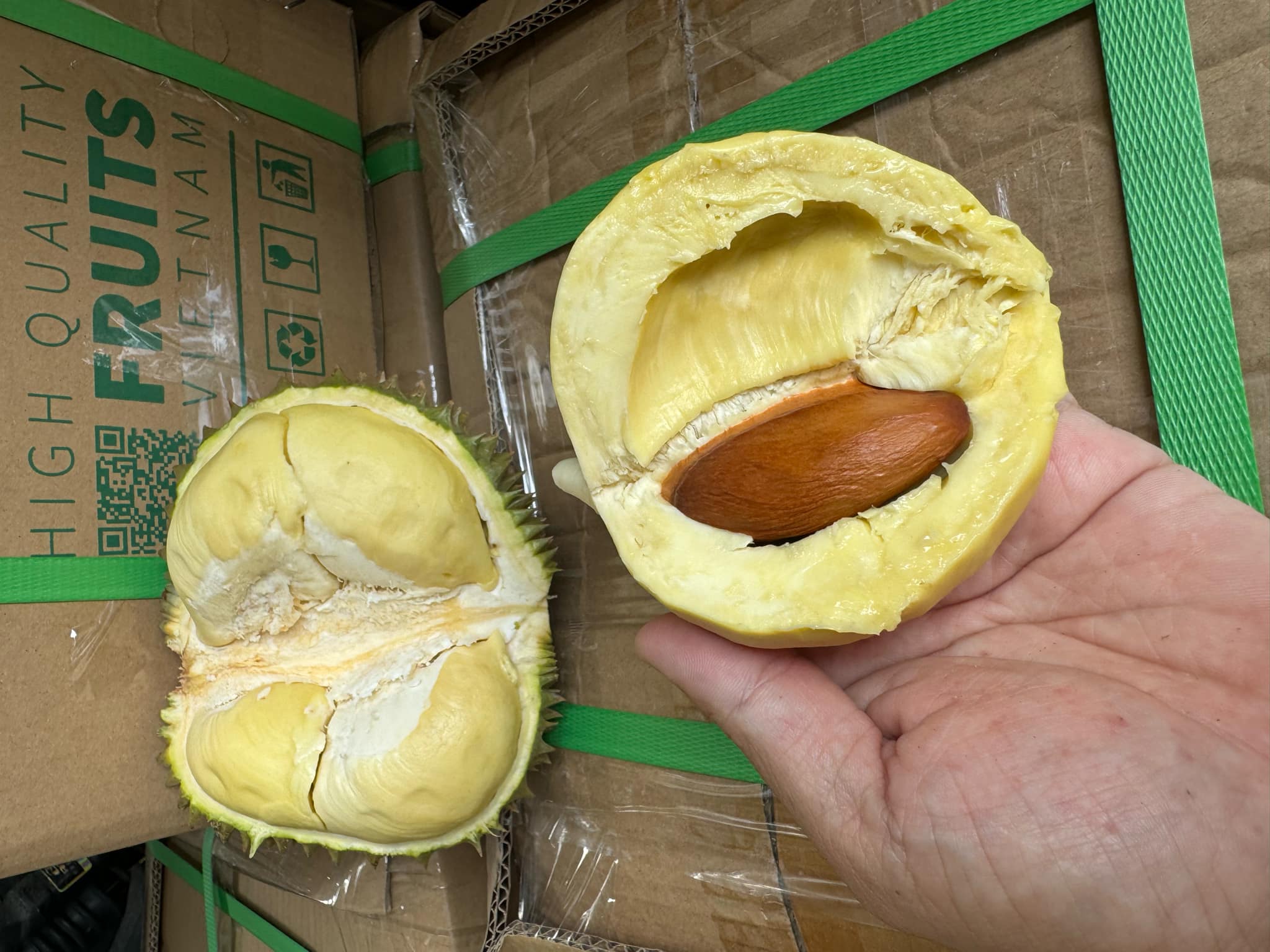 Loại sầu ri&ecirc;ng chỉ bằng nắm tay nhưng h&aacute;i tới đ&acirc;u b&aacute;n sạch tới đ&oacute;- Ảnh 1.