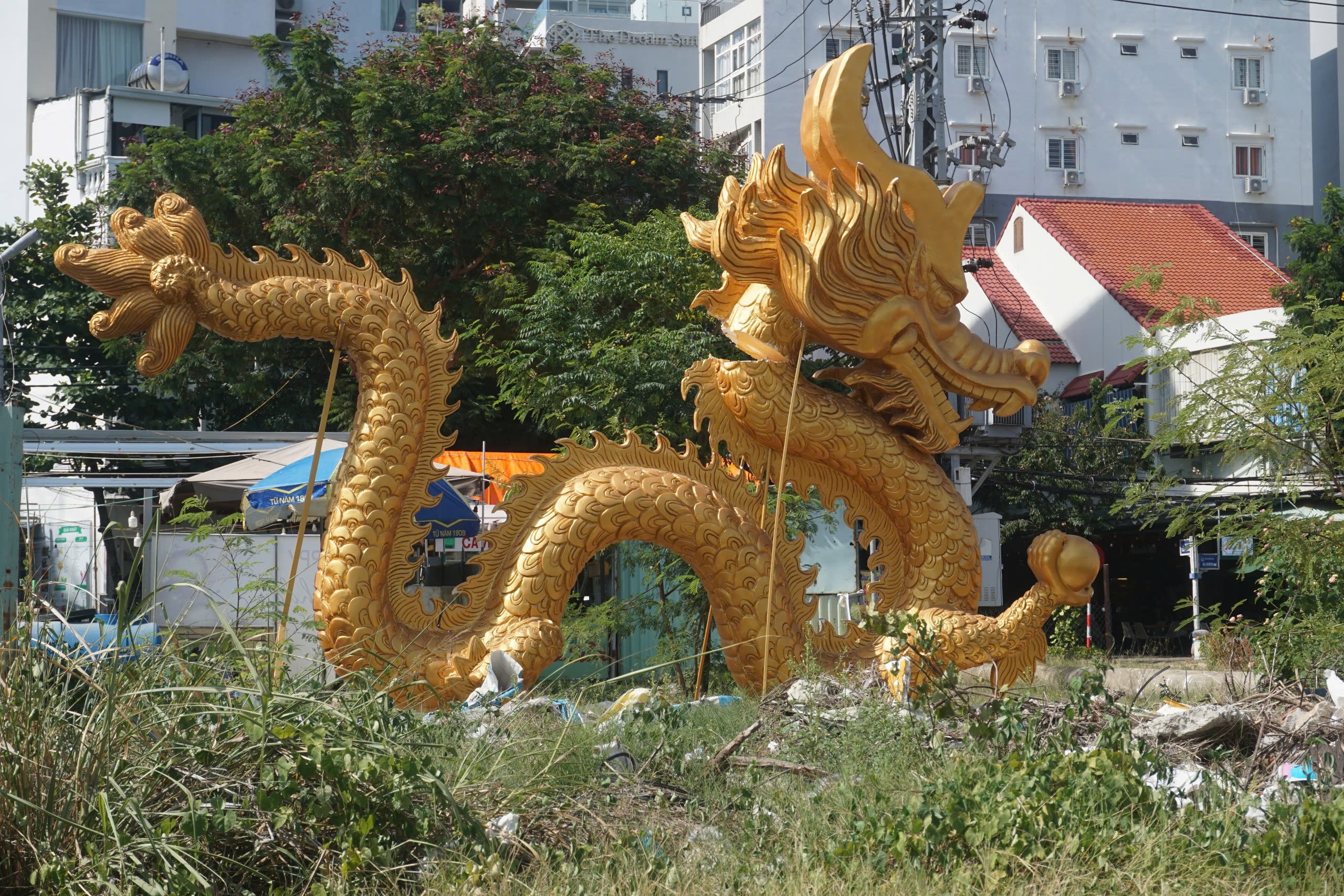 Đ&agrave; Nẵng tan n&aacute;t dự &aacute;n c&ocirc;ng vi&ecirc;n rồng- Ảnh 6.