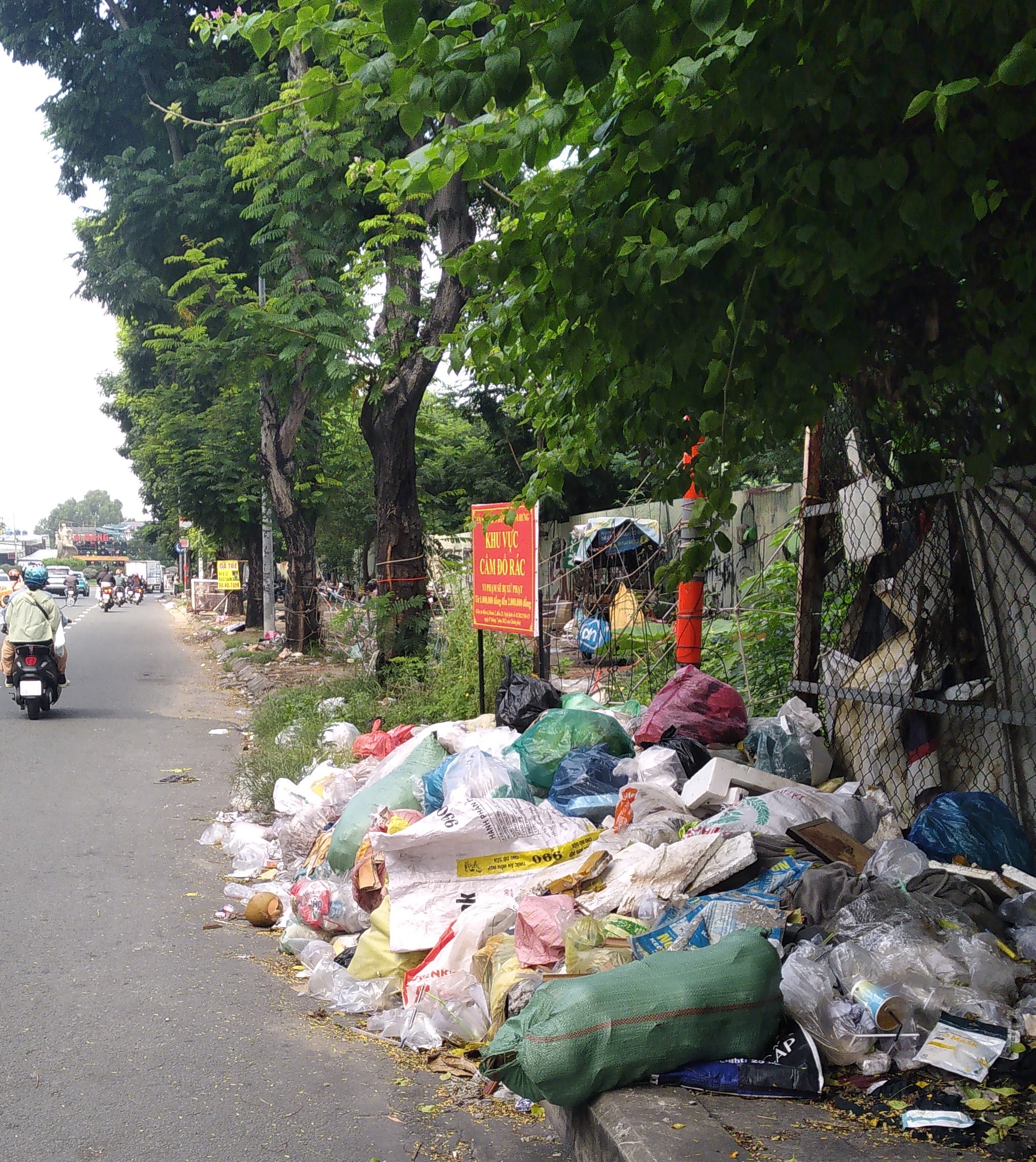B&atilde;i r&aacute;c dưới biển cấm- Ảnh 1.
