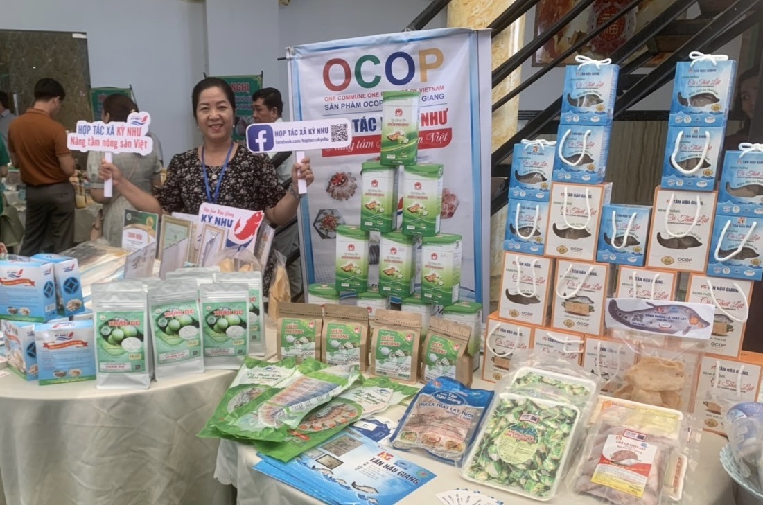 To&agrave;n tỉnh Hậu Giang c&oacute; 26 dự &aacute;n FDI- Ảnh 1.