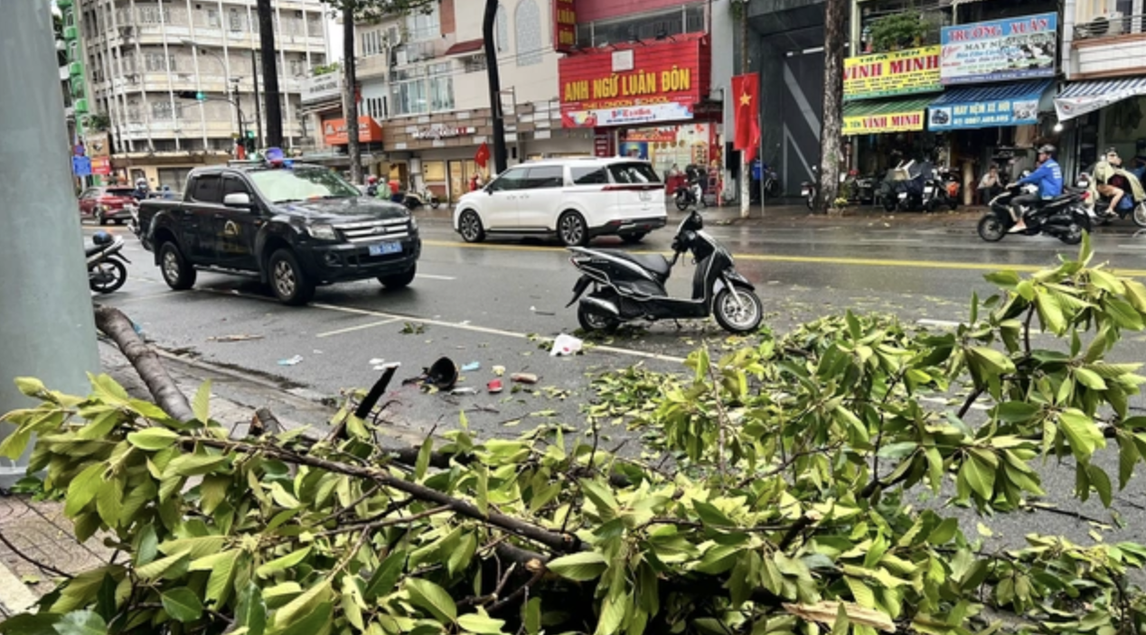 Nh&aacute;nh c&acirc;y rơi tr&ecirc;n đường An Dương Vương, TP HCM: Một phụ nữ tử vong- Ảnh 1.