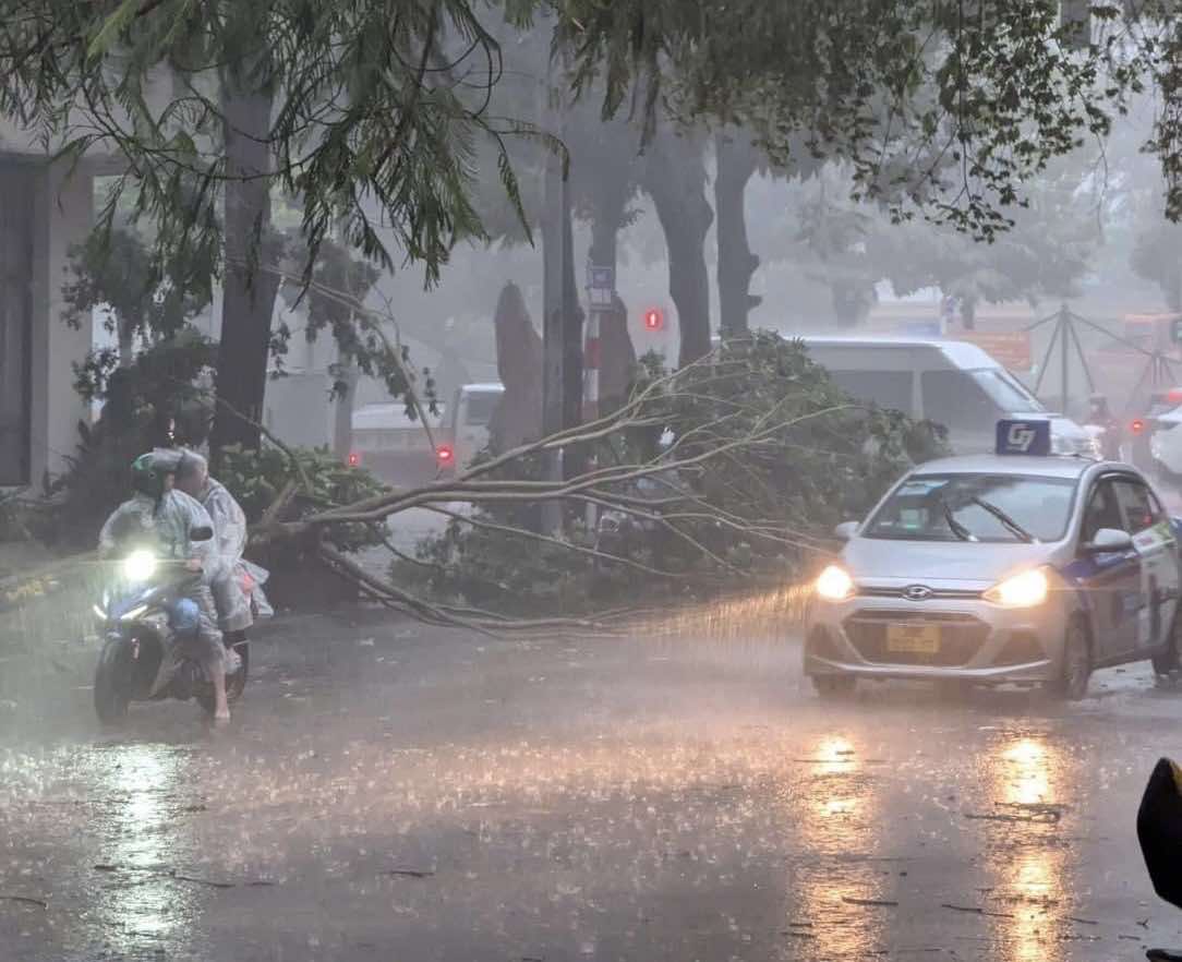 H&agrave; Nội d&ocirc;ng lớn v&agrave; mưa to, c&acirc;y đổ la liệt trước khi si&ecirc;u b&atilde;o Yagi đổ bộ- Ảnh 4.