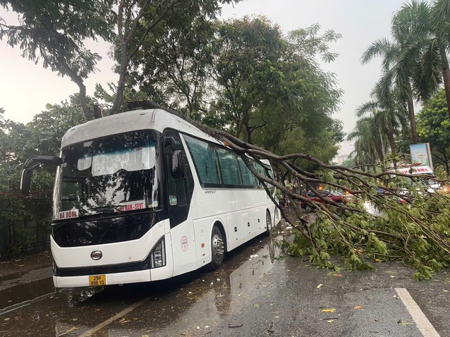 H&agrave; Nội d&ocirc;ng lớn v&agrave; mưa to, c&acirc;y đổ la liệt trước khi si&ecirc;u b&atilde;o Yagi đổ bộ- Ảnh 5.