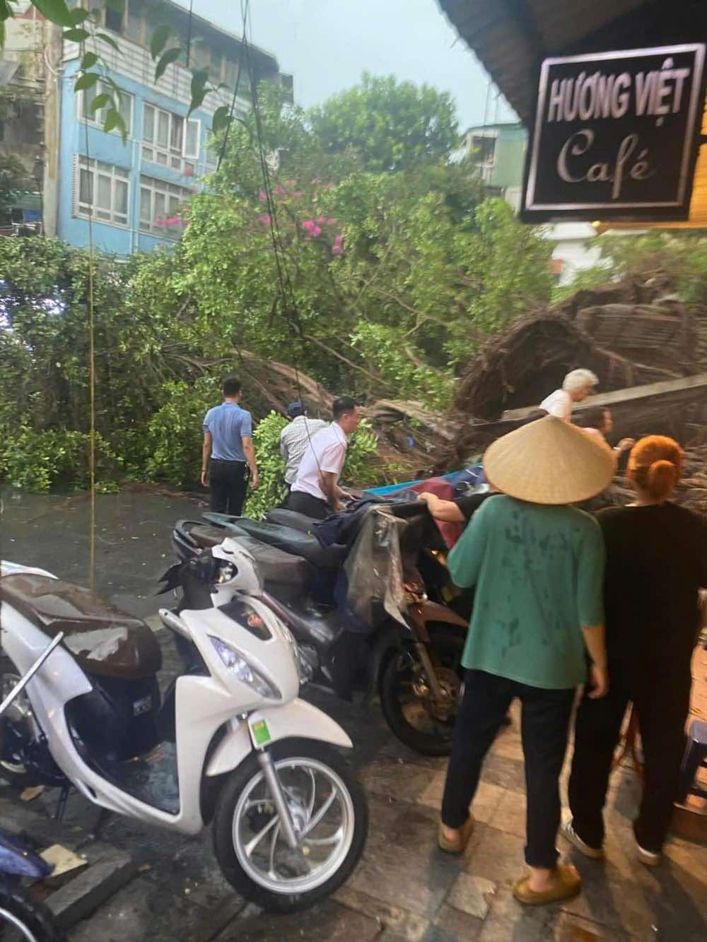 H&agrave; Nội d&ocirc;ng lớn v&agrave; mưa to, c&acirc;y đổ la liệt trước khi si&ecirc;u b&atilde;o Yagi đổ bộ- Ảnh 7.
