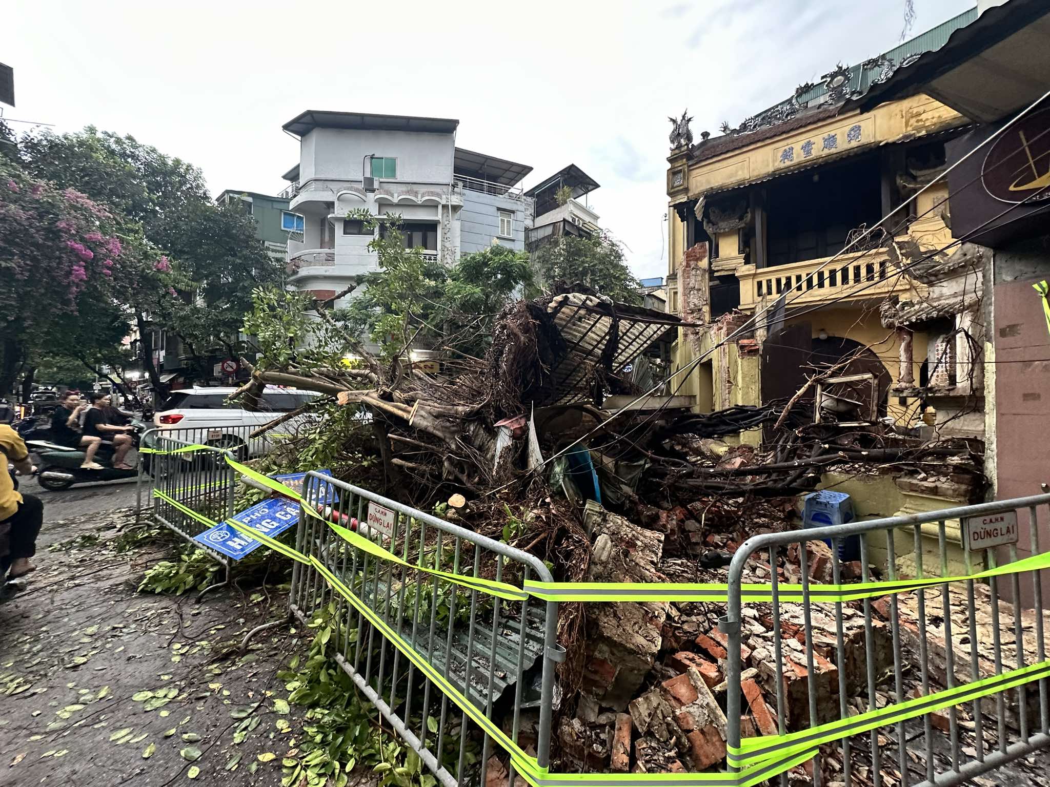 H&agrave; Nội d&ocirc;ng lớn v&agrave; mưa to, c&acirc;y đổ la liệt trước khi si&ecirc;u b&atilde;o Yagi đổ bộ- Ảnh 13.