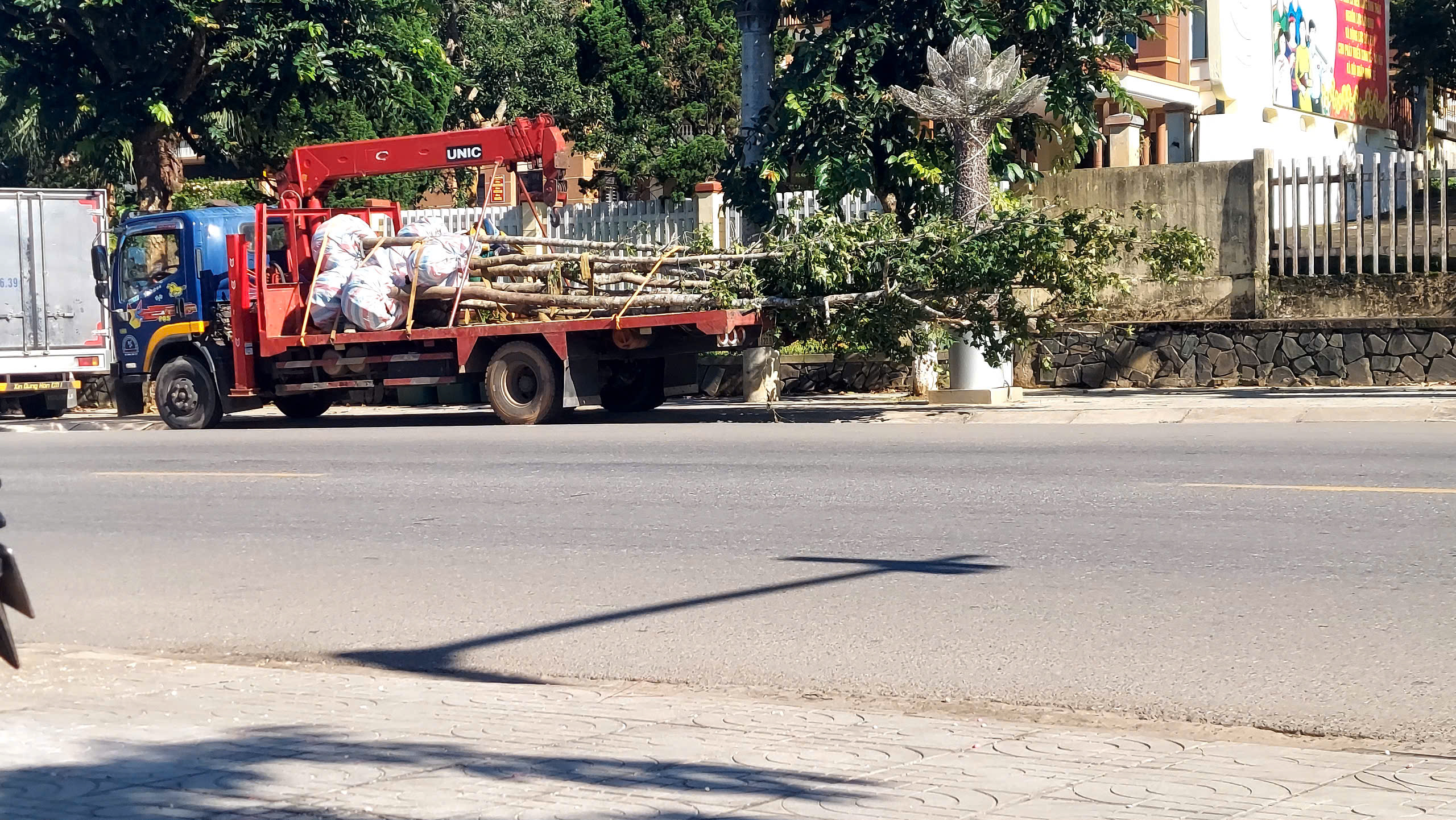 B&iacute; mật sau những chuyến xe chở c&acirc;y rừng ở Quảng Trị: Đ&atilde; r&otilde; tr&aacute;ch nhiệm!- Ảnh 1.