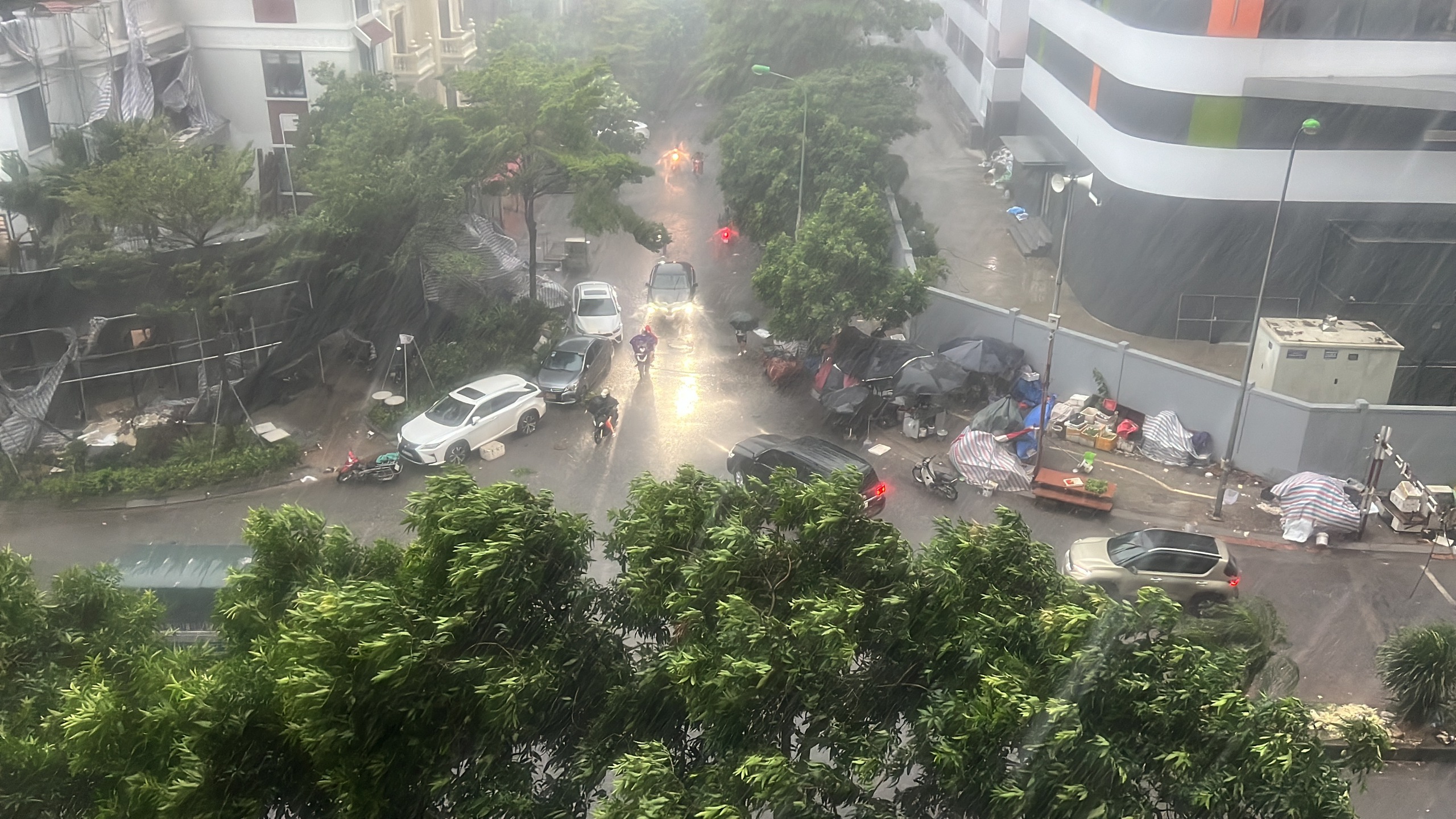 H&agrave; Nội d&ocirc;ng lớn v&agrave; mưa to, c&acirc;y đổ la liệt trước khi si&ecirc;u b&atilde;o Yagi đổ bộ- Ảnh 2.